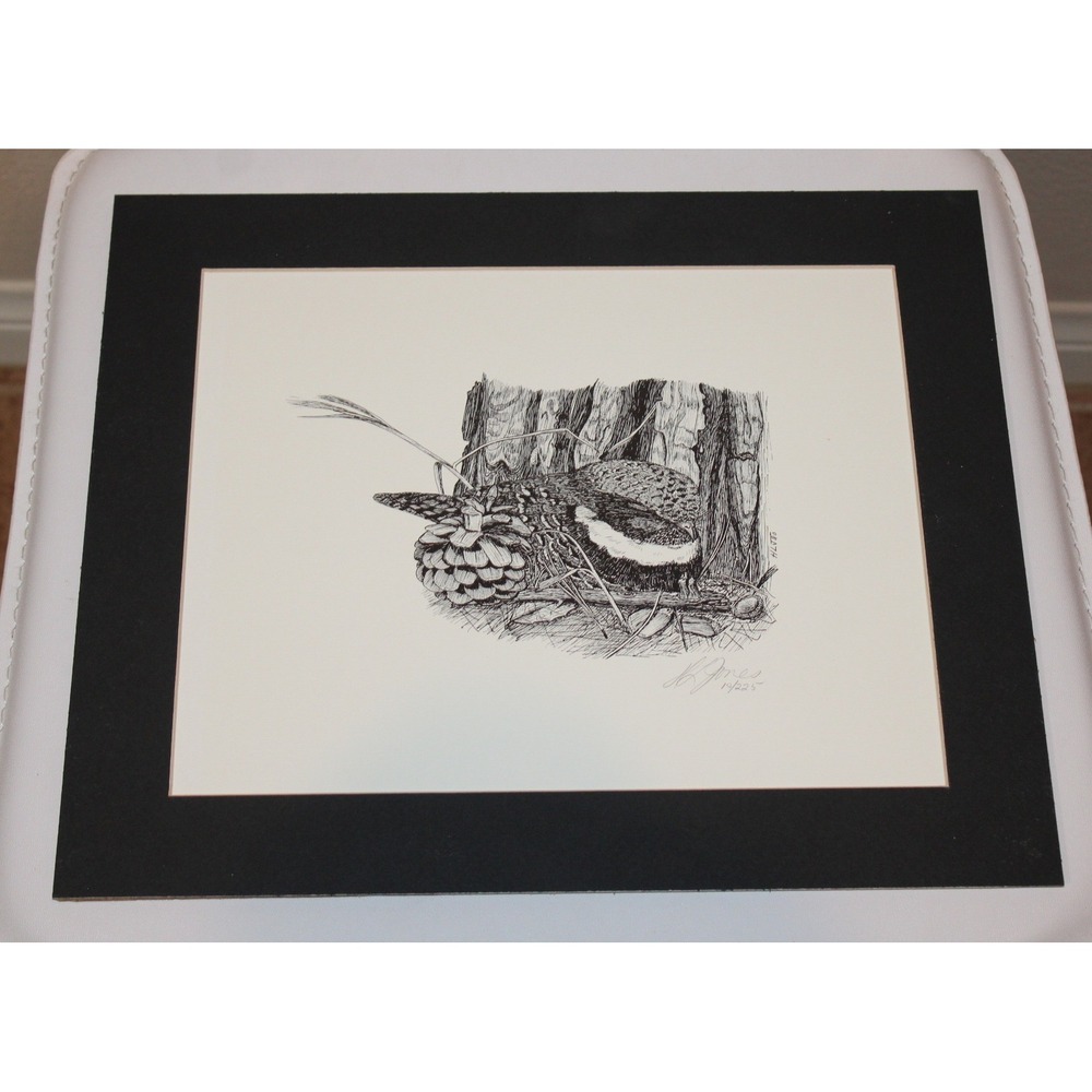 H.L Jones Lithograph Print small bird signed & numbered 19/225 pen & ink drawing